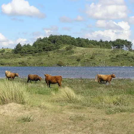 Playa Direct Aan Zee In * IJmuiden