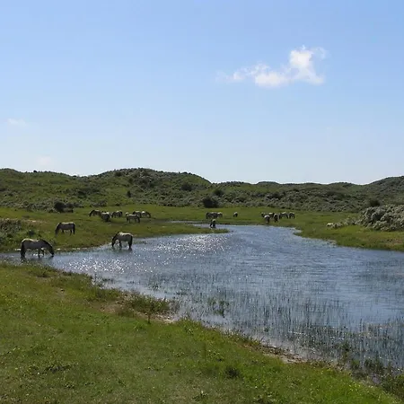 Playa Direct Aan Zee In IJmuiden